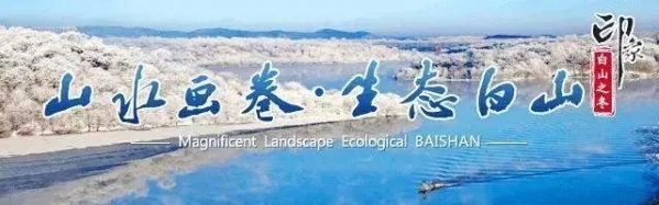 白山海关举行开关仪式-1.jpg