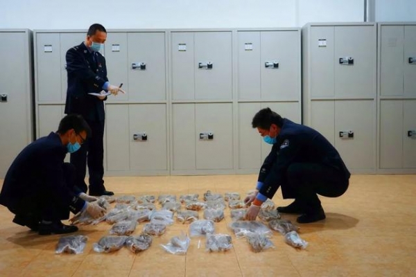 严惩！这种极危物种的“角”，海关一次查获179根-1.jpg