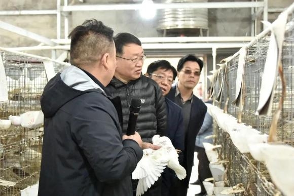 中国银保监会中国进出口银行领导到我县调研-3.jpg