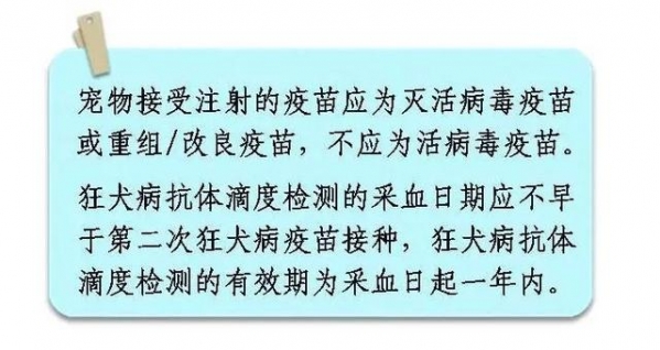 一只宠物的进境之旅-10.jpg