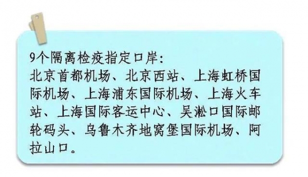 一只宠物的进境之旅-15.jpg