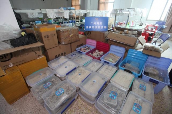 2020年广州海关立案2.1万余起，案值超450亿元-4.jpg