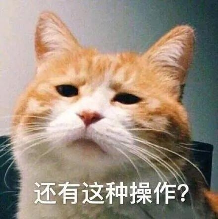 英国司机入境荷兰，自带三明治遭没收……海关表情亮了-3.jpg