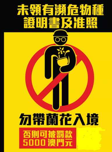 港澳简讯：看不懂！香港强检却不禁足，按摩女上街拉客，病毒又遍地开花；又是茅台！水客花样走私遭海关严打-7.jpg