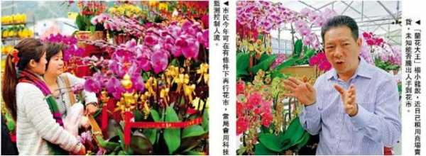 港澳简讯：看不懂！香港强检却不禁足，按摩女上街拉客，病毒又遍地开花；又是茅台！水客花样走私遭海关严打-14.jpg