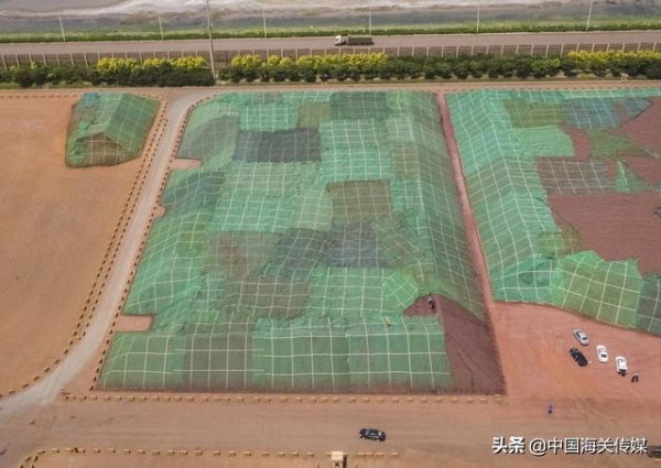 2020年海关打击走私十大典型案例-1.jpg