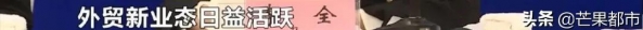2020年湖南进出口总值4874亿元，创历史新高-5.jpg