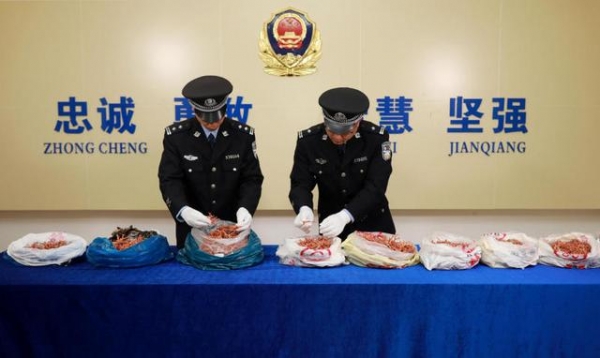 拱北海关破获“水客”团伙走私红珊瑚进境案-4.jpg