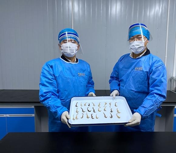 进境包裹里暗藏“海马”海关提醒：情节严重或构成犯罪-1.jpg