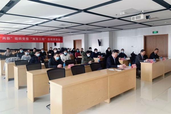 保税区“两新”组织党委成功开展“双百工程”总结表彰活动-1.jpg