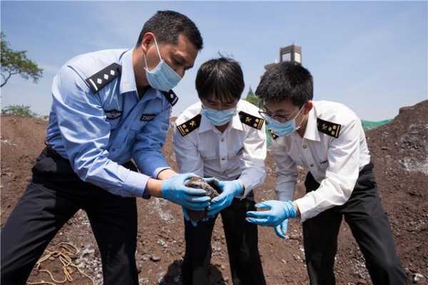 南京海关2020年查办走私违法案件2349起-1.jpg
