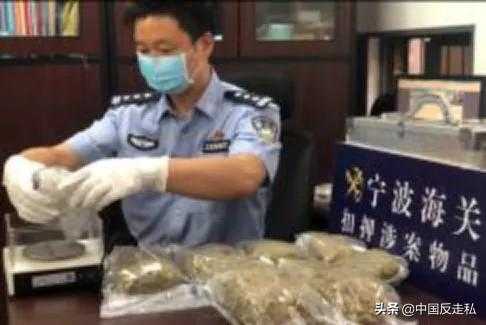 【国门利剑】宁波海关“国门利剑2020”联合专项行动战果-10.jpg