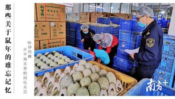 年关将至，江门海关回首鼠年的难忘瞬间-7.jpg
