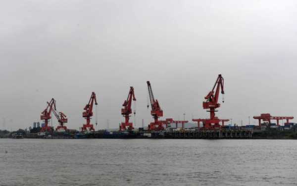杏坛打造临港产业带：将支持顺德新港申请综合保税区-1.jpg