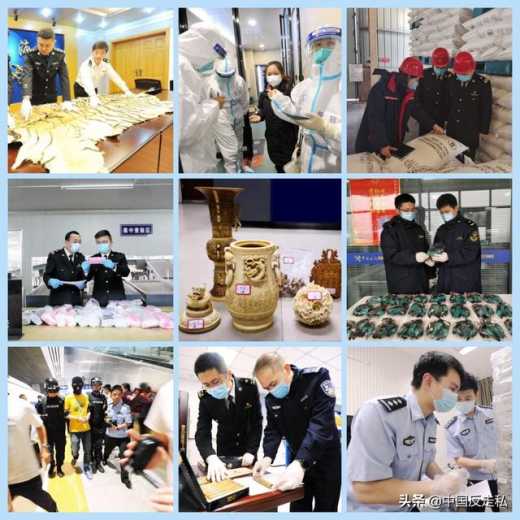 【国门利剑】郑州海关2020年“国门利剑”专项行动成果速览-22.jpg