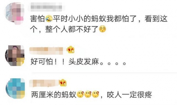 头皮发麻！海关查获406只！全是活的-3.jpg