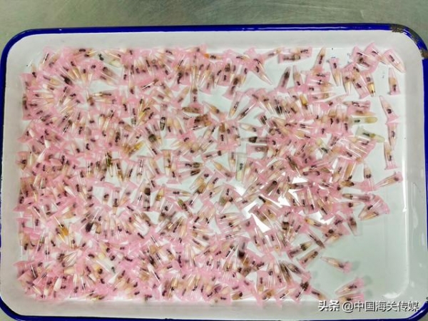 海关来解答 |“该包裹已移交有关部门做销毁处理”-2.jpg