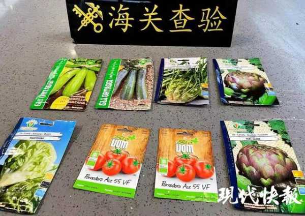南京禄口机场海关提醒：“洋种子”和“舶来肉”不要携带入境-2.jpg