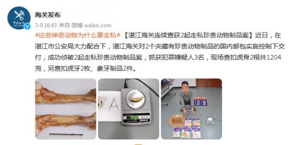 湛江海关连续查获2起走私珍贵动物制品案-1.jpg