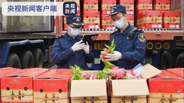 前2月海关截获检疫性有害生物同比增长四成-1.jpg