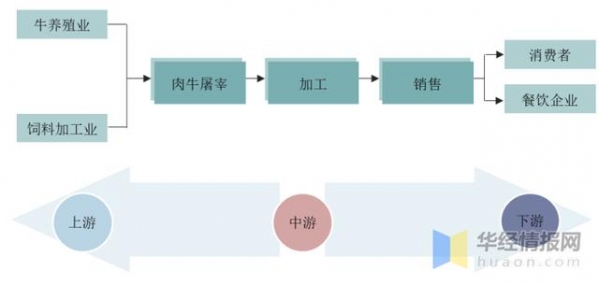 2020年牛肉产销量及进出口，规模化养殖成为未来发展趋势-2.jpg