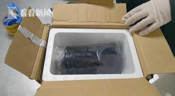 “果汁”藏鱼？海关“邮”进8条活体青鳉鱼……当场查扣-3.jpg