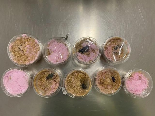 南昌海关查获一可疑包裹！里面竟有9只活的……-1.jpg