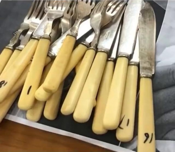 南京海关移交一批濒危野生动植物及其制品，其中含34段象牙原牙-2.jpg