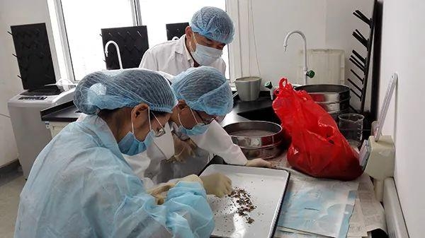 【动植物检疫】进境种苗那些事儿-6.jpg