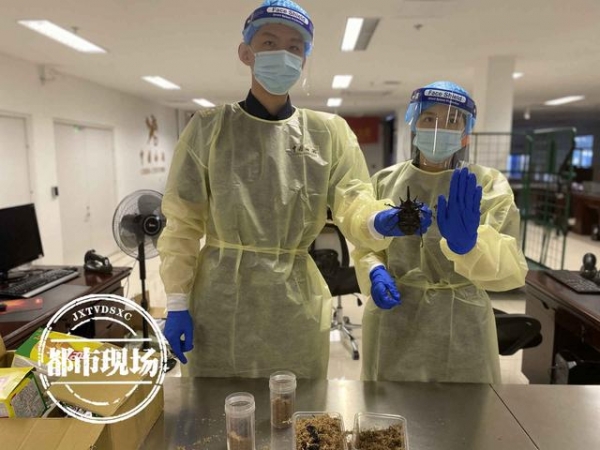 南昌海关截获！“饼干”邮件里，藏有4只活体"巨虫"-3.jpg
