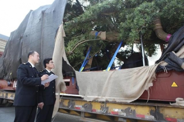 海关监管作业场所、场地、指定监管场地差别-7.jpg