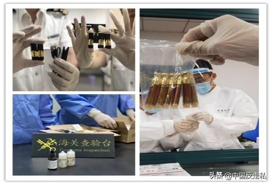 【国门利剑2021】厦门海关禁毒堵源截流成效显著-13.jpg