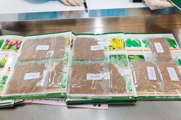 蜗牛、甲虫、干海马……北京海关上半年都截获过哪些生物？-8.jpg